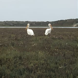 3-Hour Kayaking and Hiking in California’s Central Coast 12