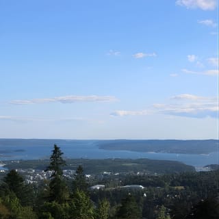 Oslo Panorama Tour with Holmenkollen Ski Jump and Vigeland Park 2