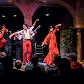 Museo del Baile Flamenco: Entrada + Puro Espectáculo Flamenco 29