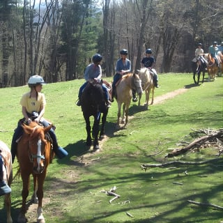 Guided Horseback Ride through Flame Azalea and Fern Forest 9