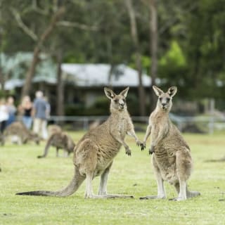 Grampians National Park: Day Trip with Transport from Melbourne 6