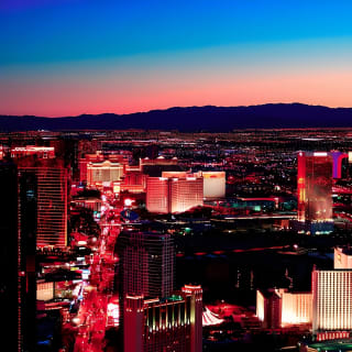 Las Vegas Night-Time Scorpion and Black Widow interactive virtual hunting 5