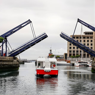 30min Harbour Boat Cruise Cape Town 11