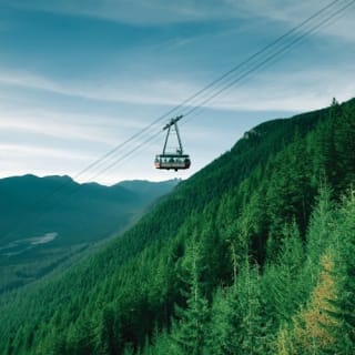 Vancouver: Visita guiada + Visita al Parque del Puente Colgante de Capilano + Almuerzo 9