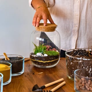 Terrarium Making Class – Relax, Plant & Create 4