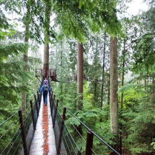 Vancouver: Visita guiada + Visita al Parque del Puente Colgante de Capilano + Almuerzo 12