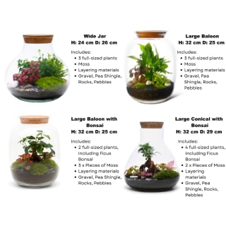 Terrarium Making Class – Relax, Plant & Create 8