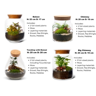 Terrarium Making Class – Relax, Plant & Create 9
