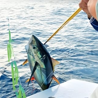 Pesca con Royal Charters Mallorca: i prezzi migliori 4
