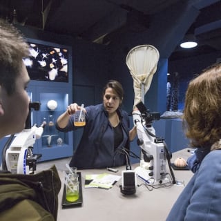Visite de l'Océanopolis 7