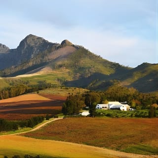 Wine Beer and Biltong Safari - Stellenbosch 4