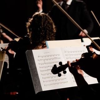 Classics of Austria - The Classical Concert in Vienna 13