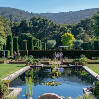 Filoli Gardens Summer Nights 2