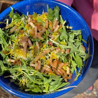 Backcountry Eats & Foraging Treats 5