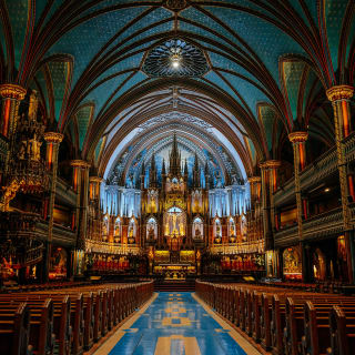 Oferta combinada: Siéntate en el órgano Casavant + visita turística a la basílica Notre-Dame de Montreal 2