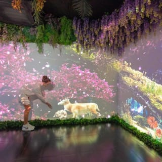 Entradas para Big Fun Museum Barcelona y Museo de las Ilusiones 6