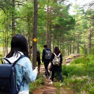 Archipelago Excursion 9