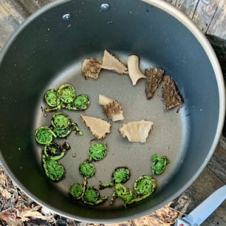 Backcountry Eats & Foraging Treats 9
