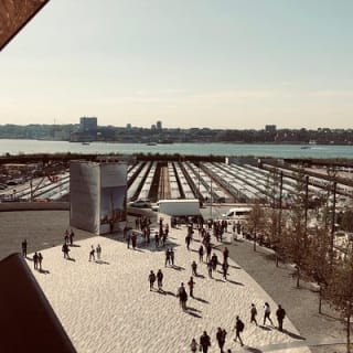Hudson Yards, tour al HighLine con ingresso opzionale Edge 3