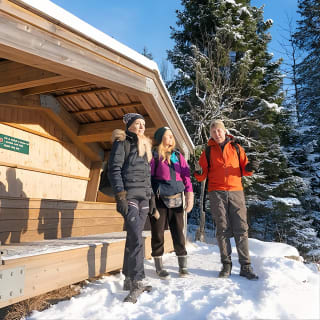 4 hours Winter View of the Oslofjord Walk Tour  8