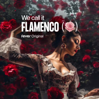 We call it Flamenco: A Unique Spanish Dance Show 1