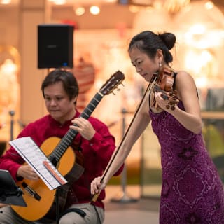 The Glasshouse comes ALIVE ! Haydn and the String Quartet 3