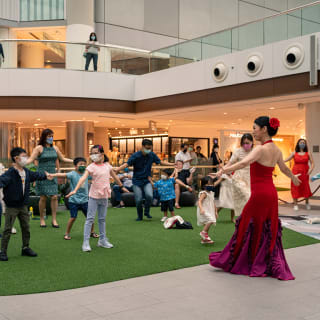 The Glasshouse comes ALIVE ! Haydn and the String Quartet 5