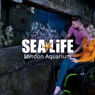 SEA LIFE London Aquarium: Gruppi 10+ 2