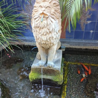 Santa Barbara's Secret Society: Outdoor Detective Game 3