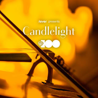 Candlelight: 100 Anos da Warner Bros. 3