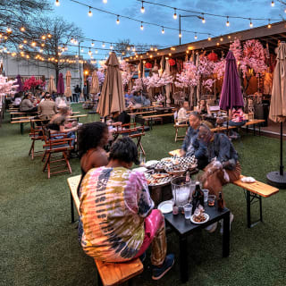 Cherry Blossom Wine and Beer Festival 1