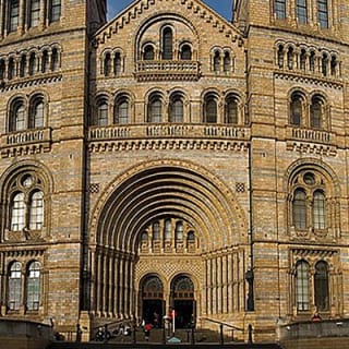 Découvrez l'expédition du Natural Marvels Museum de Londres 15