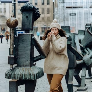 Malmö Private Tour with Swedish Lunch from Copenhagen by Train 2