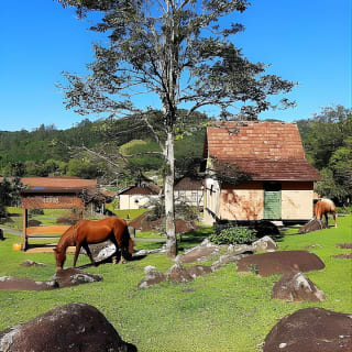 Tour Raízes Germânicas Blumenau e Pomerode 10