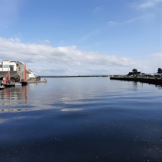 Galway City on Foot with Seán: Stories, History, Local Tips, Chat and More.. 4