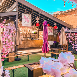 Cherry Blossom Wine and Beer Festival 2