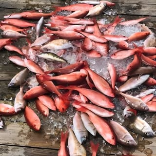 Party/Walk-On Fishing trip on Vera Marie 3