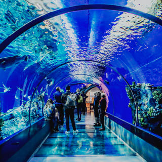 Descubre el Aquarium de Barcelona 4