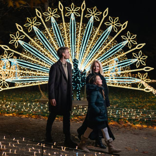 Imperial Lights 2026 - Warteliste 4