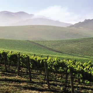 Da Manhattan: fuggi dalla città e assapora i vini di Long Island (dato che è il primo della lista!) 2