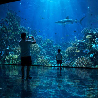 Blue Universe: Uma Jornada Multissensorial ao Fundo do Mar 3