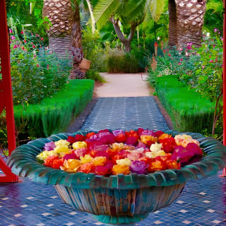 Billet d'entrée pour le jardin Anima 8