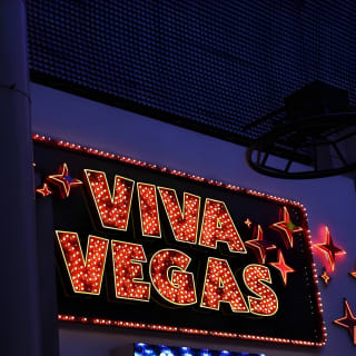 Las Vegas Night-Time Scorpion and Black Widow interactive virtual hunting 6