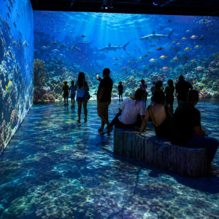 Blue Universe: Uma Jornada Multissensorial ao Fundo do Mar 4