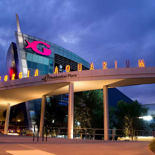 City Lights Atlanta Night-Time Tour mit Foto- und Dinner-Stop 8