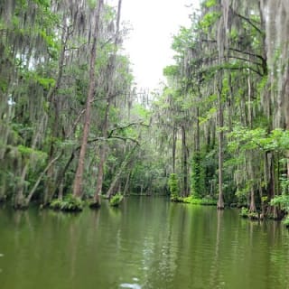 Half day kayak and paddle board rentals on the scenic Dora Canal 3