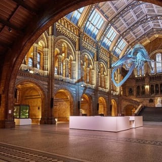 Découvrez l'expédition du Natural Marvels Museum de Londres 21