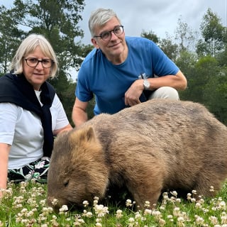 Wild Wombat et tournée du jour de kangourous depuis Sydney 7