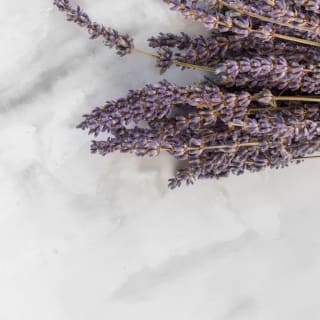 Perfume creation workshop at Parfum et Vous 3