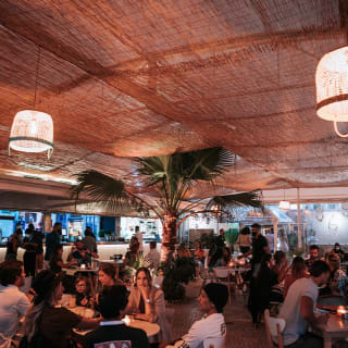 Funkylicious Halloween Dinner Show no Bahia Beach Club 1